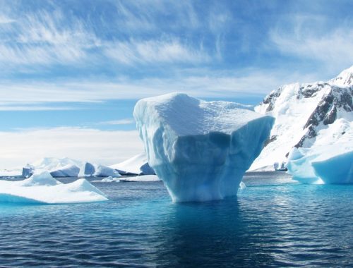 Жизнь подо льдами Антарктиды
