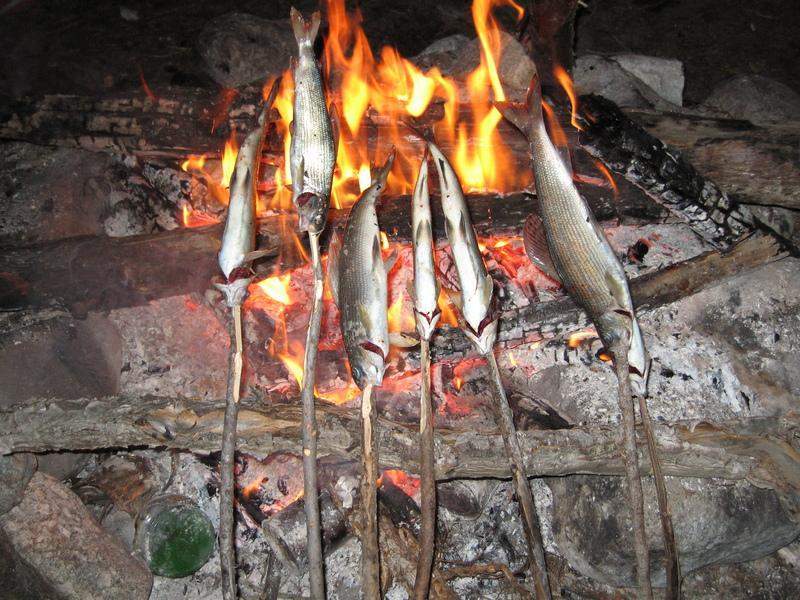 Дунайский деликатес: рыба жареная на костре