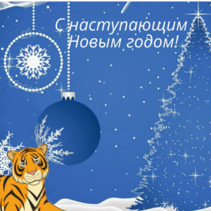 Обложка с годом Тигра