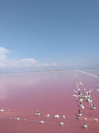 Розовое озеро в Евпатории