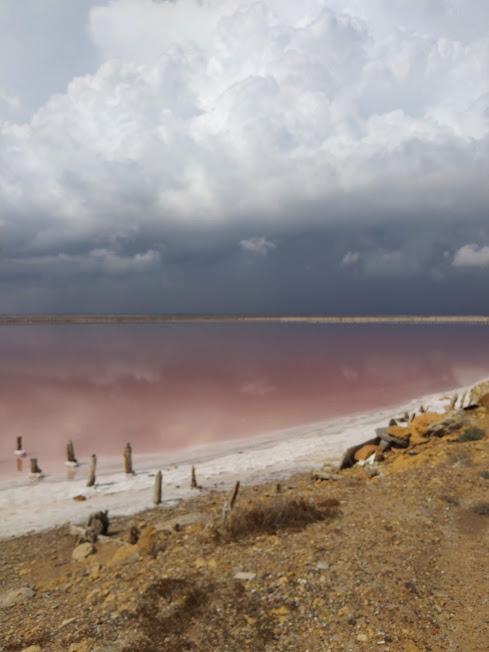 Розовое озеро в Евпатории